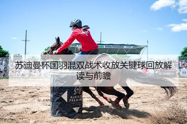 苏迪曼杯国羽混双战术收放关键球回放解读与前瞻