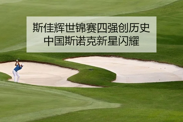si-jia-hui-shi-jin-sai-si-qiang-chuang-li-shi-zhong-guo-si-nuo-ke-xin-xing-shan-yao-2-801.jpg